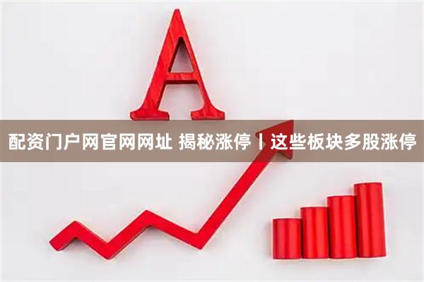 配资门户网官网网址 揭秘涨停丨这些板块多股涨停